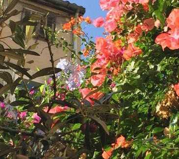 Thiers Bed & Breakfast | Maison Olea