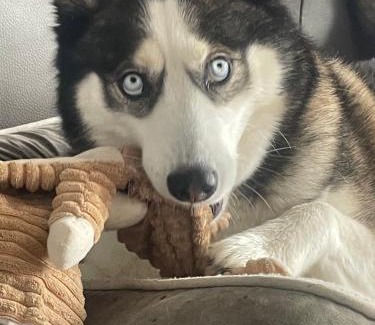La Reole House | Maison vue panoramique et accès SPA
