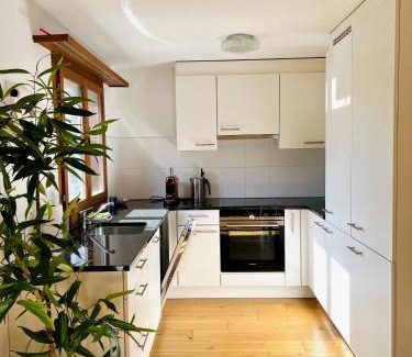 Hofstetten bei Brienz Apartment | Maisonette 4.5 Zimmer, Nähe Ballenberg