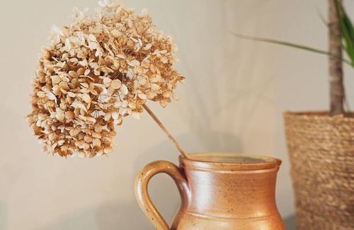 Chablis House | Maisons Vaudésir