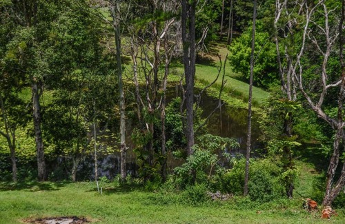North Maleny House | Maleny Country House - Queenslander on Acreage