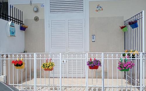 Picanello-Ognina-Barriera-Canalicchio House | MAMIS
