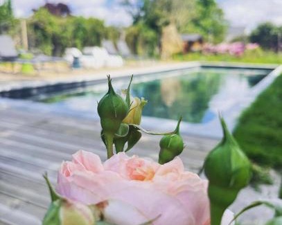 Beaussais-sur-Mer Bed & Breakfast | Manoir la grande guerais