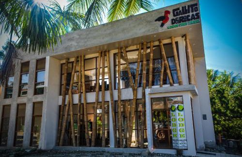 Pillcopata Cabin | Manu Gallito de las Rocas