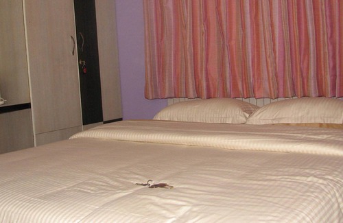 JP Nagar Hotel | Maple Leaf