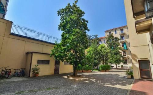 Zona Zara Apartment | Marche Halldis Apartments