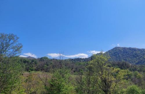 Likani Apartment | Marelisi village