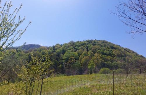 Likani Apartment | Marelisi village
