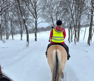Tromso House | Marisletta farm - house by the sea