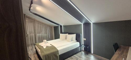 Gyula House | Mark AquaHouse