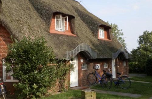 Wrixum Apartment | Marschküken