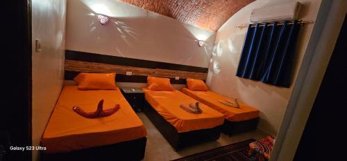 Aswan Boat Rental | Masa Nubian House