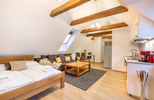 Stare Mesto Apartment | Masná 20 - Old Town Residence