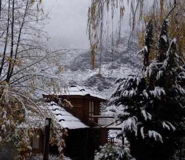 Potrerillos Cabin | Mendoza Sol y Nieve