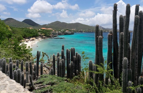 Jan Thiel Resort | Merakii Seaview Escape Resort 2 Unit Condo 1920