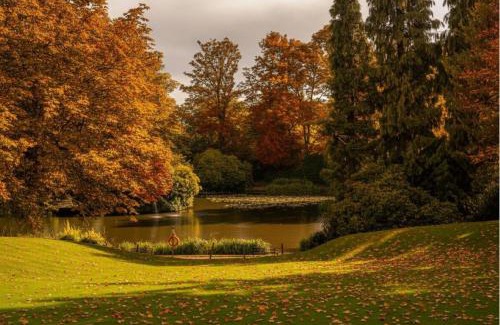 Sheffield Hotel | Mercure Sheffield Kenwood Hall & Spa