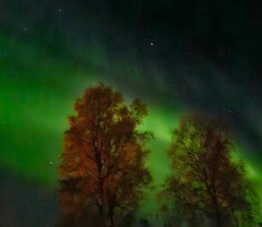 Lenvik House | Mettes holiday home