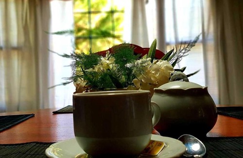 San Rafael House | Mi Jardín