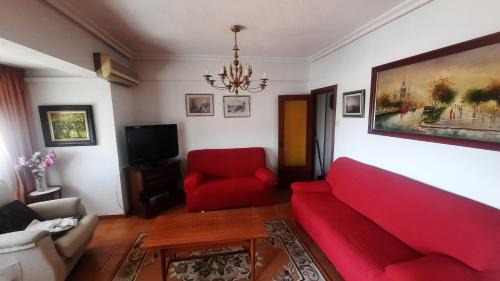 Benalua House | MiaLife