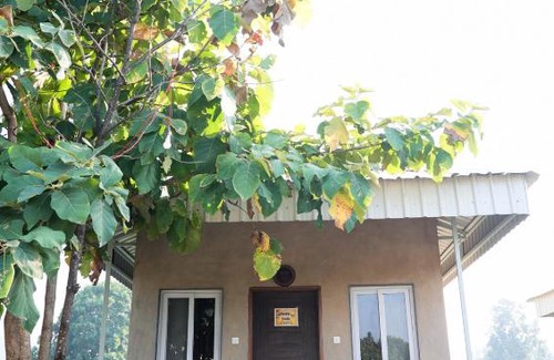 Damoh Resort | Midway Treat Sanctuary Resort & Restaurant
