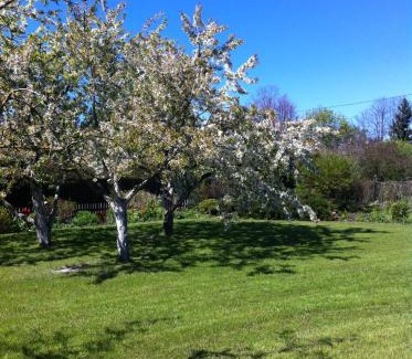 Skulte House | Miera osta atpūtai Skultē Garāža