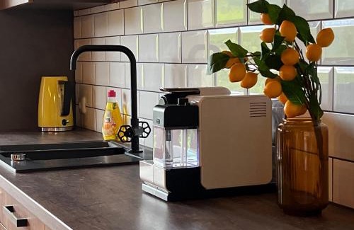 Tauplitz Apartment | MiHome - Grimming View Apartment