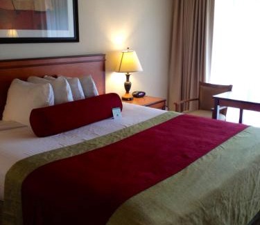 North Hollywood Hotel | Mikado Hotel