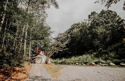Cosby Other | Mimosa Hill Wanderlust Woods