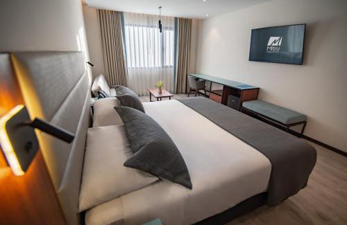 Downtown La Paz Hotel | Mitru Express Hotel