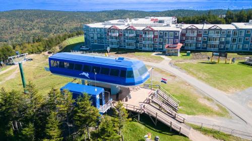 Snowshoe Apartment | ML216 Cottage Feel With Mountain View WiFi Parking Ballhooter Side