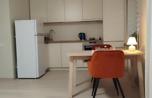 Anyksciai Apartment | Močiutės apartamentai