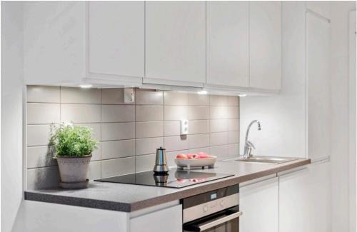 Tonsberg Apartment | Modern apartment in Tønsberg right by the waterfront and city center