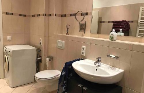 Leipziger Vorstadt Apartment | Modern apartment, Randneustadt with great connections