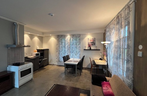 Skien Apartment | Moderne Studioleilighet - Nærme Skien Sentrum