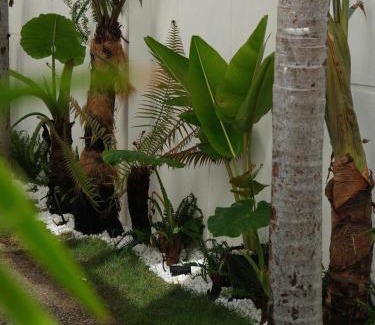 Phan Thiet House | MON KITTY House