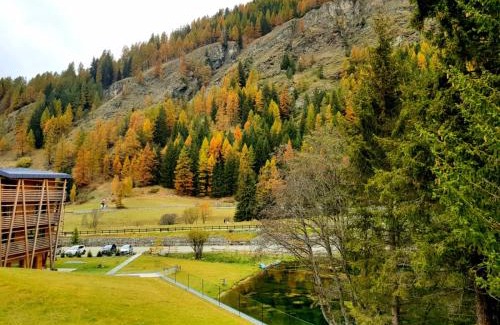 Champoluc Apartment | Monterosa Apartment - Champoluc #Bluchalet