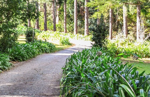 Montville Cabin | Montville Country Cabins