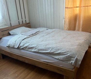 Basadingen-Schlattingen House | Motel Schwanen