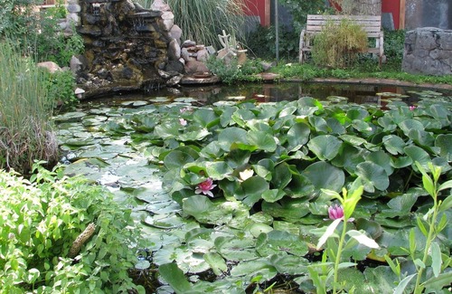 Rodeo Cabin | Mountain Valley Lodge and RV Park