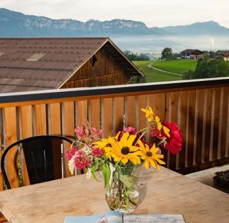 Kitzbuehel Apartment | Mountain Vista - Bio Yoga Hof