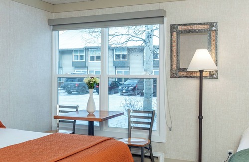 Telluride Hotel | Mountainside Inn Pet-Friendly Room With Kitchenette