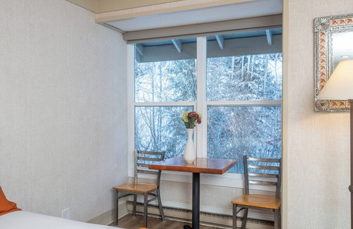 Telluride Hotel | Mountainside Inn Room With Kitchenette