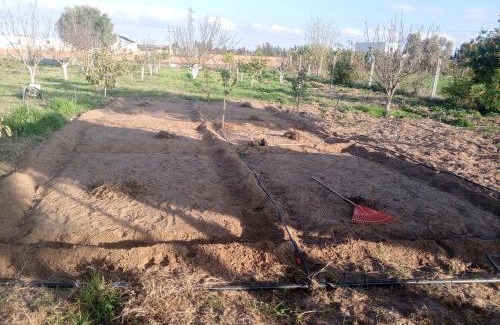 La Ville Haute House | My small farm 20 minutes from Kénitra Behind Kénitra Atlantic Free Zone