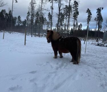 Ljung Apartment | Mysig lägenhet på landet.