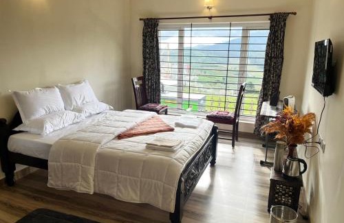Fern Hill House | Mysterious mountain