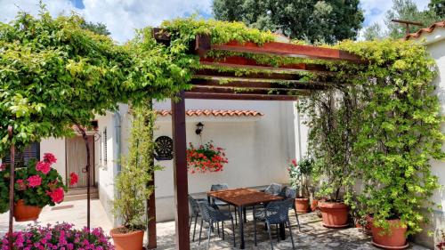 Pican House | Nadia's house