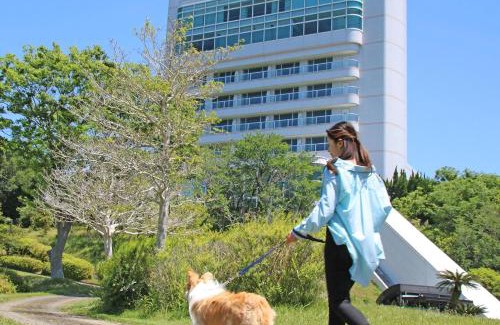 Kamitonda Hotel | Nanki Shirahama Dog Paradise