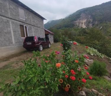 Ambrolauri Villa | Natas Saxli