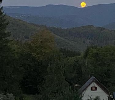 Grendelbruch Ski Chalet | Natur’Lovers - Chalet d’exception - Jacuzzi et hammam en pleine nature