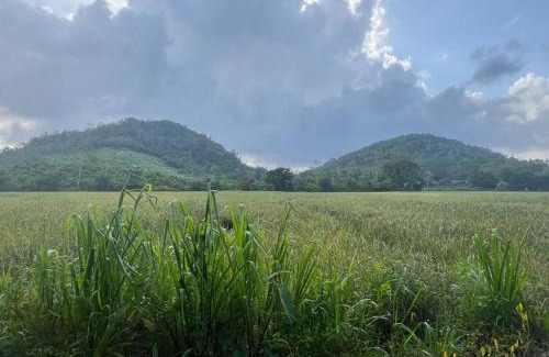 Welivitiya-Divithura House | Natures Nook Homestay